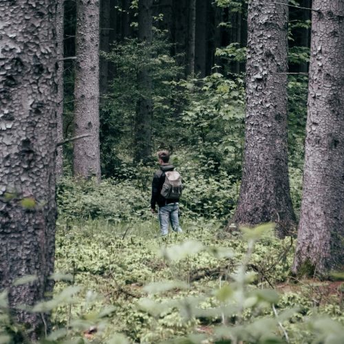 ole-witt-cIaYg4HmRKg-unsplash